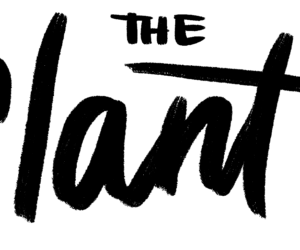 The Slant logo - Visibility Project article